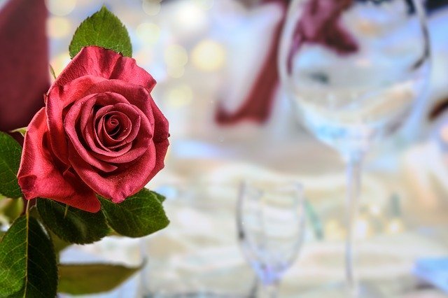 Dinner Red Rose Love  - PhotoMIX-Company / Pixabay