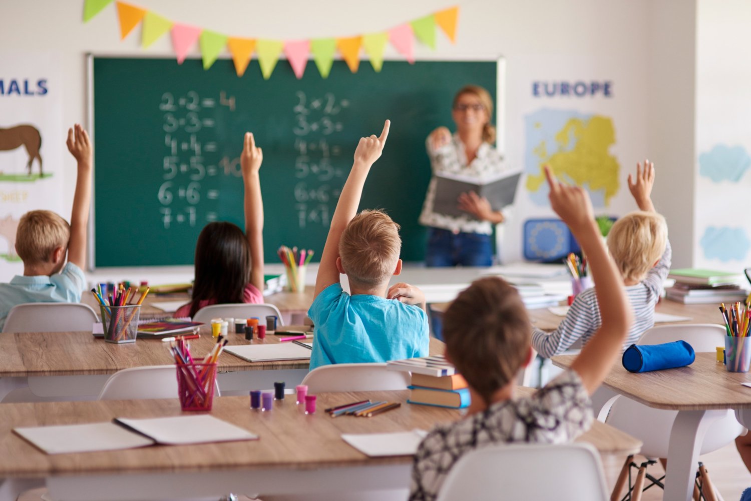 Educação financeira nas escolas: por que é urgente?